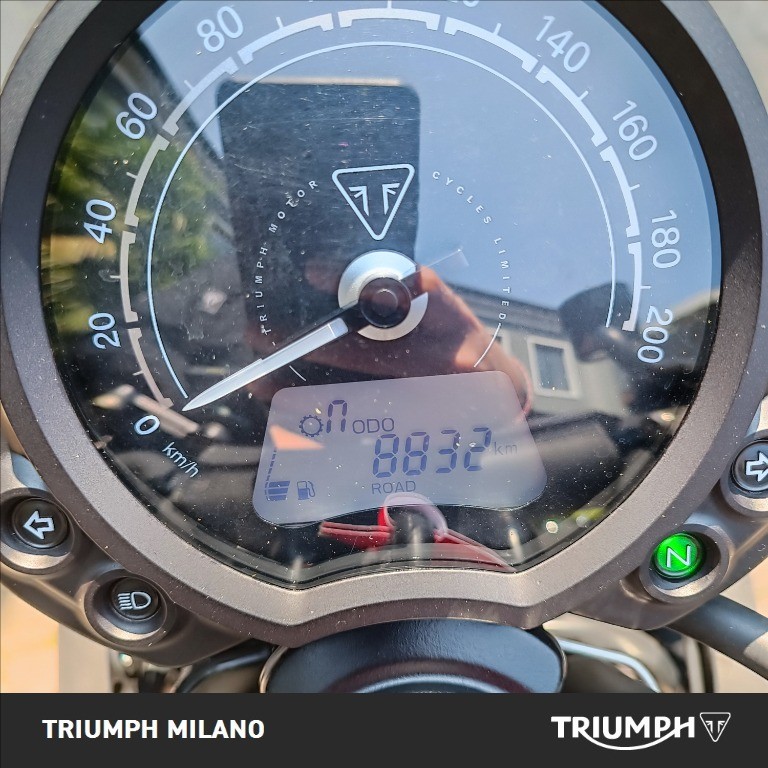 TRIUMPH Street Scrambler 900 