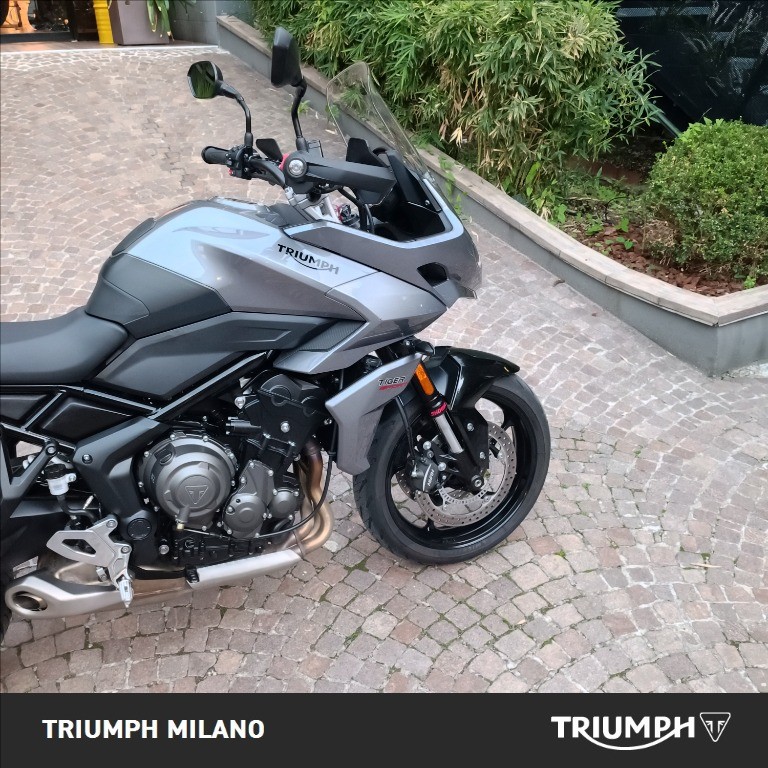 TRIUMPH Tiger Sport 660 Abs