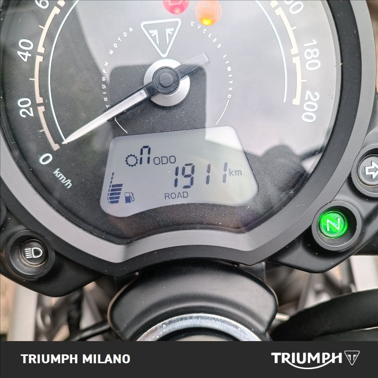 TRIUMPH Street Scrambler 900 Gold Line